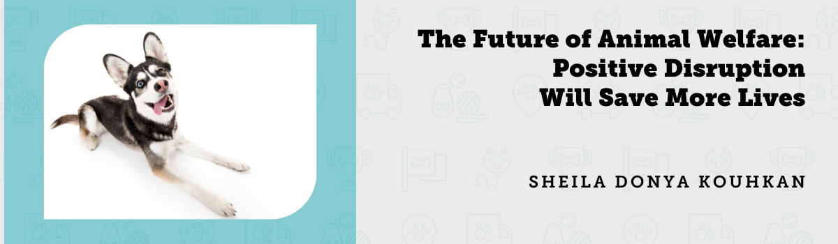 The Future of Animal Welfare: Positive Disruption Will Save More Lives